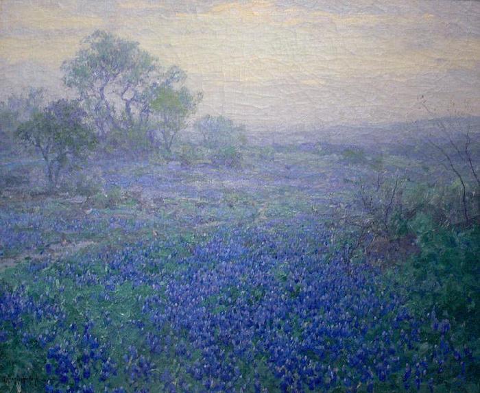 Julian Onderdonk Cloudy Day. Bluebonnets near San Antonio, Texas Norge oil painting art